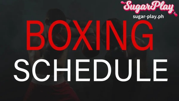 This blog will discuss the detailed boxing schedule 2024 about the upcoming fights of professional boxers in different weight divisions.