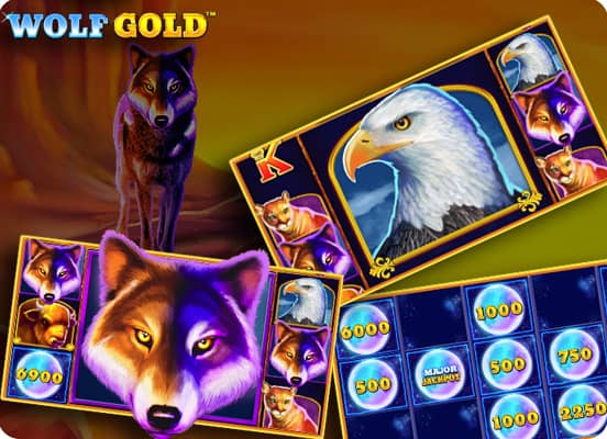 Unleashing the Power of Wolf Gold