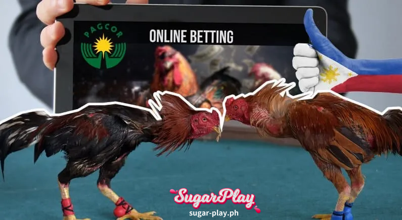 Online Cockfighting are specialised words that cockfighters use to say the cockfighting methods and activities before, during and after fighting.