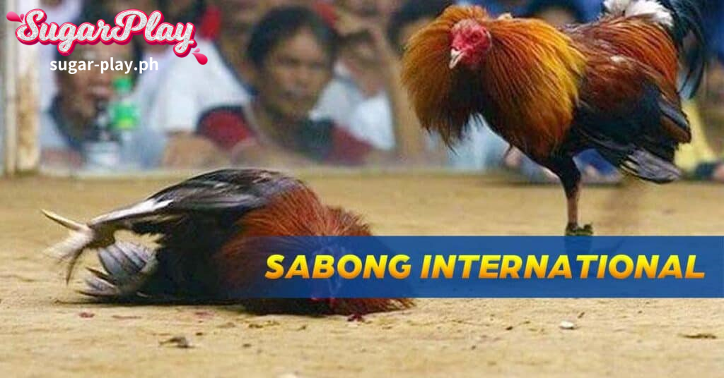 While online Cockfighting stands out as an initial online Sabong International platform, you will find alternatives available for those seeking different experiences.