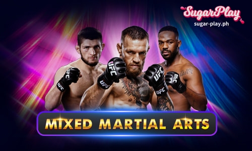 7. Mixed Martial Arts